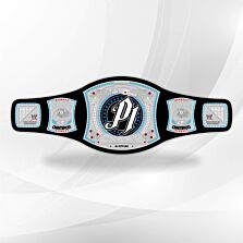 AJ Styles Spinner Championship Belt