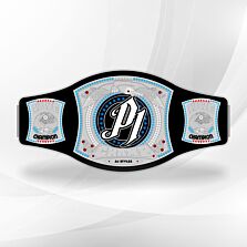 AJ Styles Spinner Championship Belt