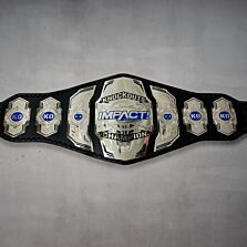 Impact Championship Belt