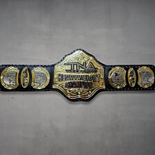 TNA Heavyweight Championship Belt