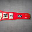 AEW TNT Championship Belt side plates