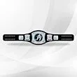 Spinner Championship Belt