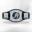 AJ Styles Spinner Championship Belt
