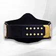 andre the giant title belt