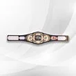 wwe fantasy football belt