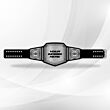 Make Your Own Championship Belt