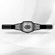 Make Your Own Championship Belt