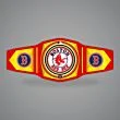 Boston Red Sox Belt