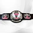 bret hart title belt