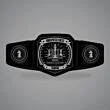 Chess Champion Belt