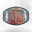 CM Punk WWE Belt
