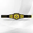 cornhole champion belt