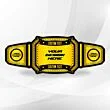 Custom Title Belt