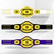 Customizable Championship belt