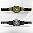 Dart custom made championship belt
