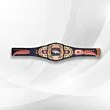 WWE legacy belts

