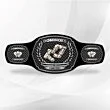 Dominoes fantasy championship belt