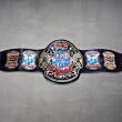 ECW Championship Belt