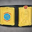 european title wwe side plates