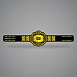 Custom Made Wrestling Belts