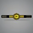 Custom Made Wrestling Belts