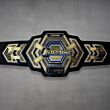 tna championship belts