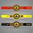 Hulk Hogan Belt