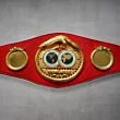 IBF Belt