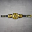 WWE Intercontinental Championship