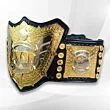 IWGP Championship Belt