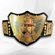 IWGP Heavyweight Title