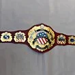 iwgp heavyweight championship