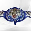 Jeff Hardy Title Belt