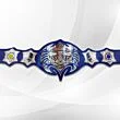 tna championship