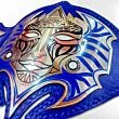 jeff hardy championship belt
