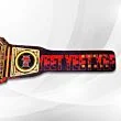 Jey Uso Championship Belt right side