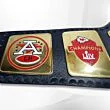 kc chiefs championship belt