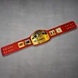 nwa belt