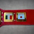 nwa title belt