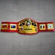 NWA World Heavyweight Championship Replica