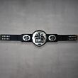 nwo world heavyweight championship