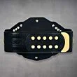 NXT Champion Belt
