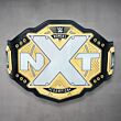 nxt championship belt