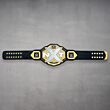 new nxt championship belt