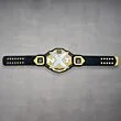 new nxt championship belt