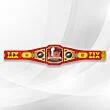 super bowl championship belt