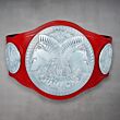 tag team championship belt