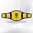 WWE Spinner Title