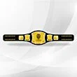 Rey Mysterio Belt WWE Spinner Title