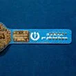 ric flair big gold belt